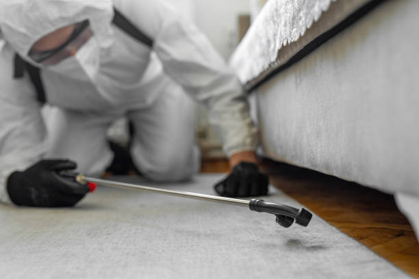 Professional Pest Control technician working in Henry County County, AL